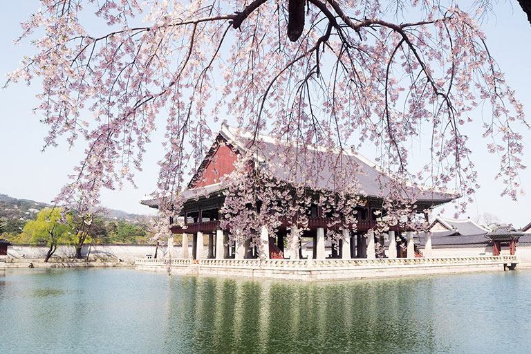 Gyeongbokgung Palace در کره جنوبی