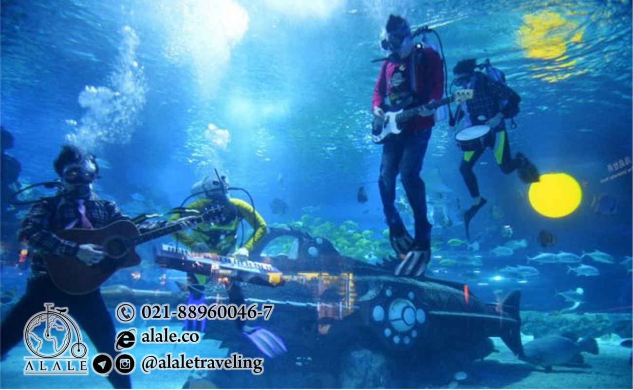 underwatermusic.alale.co.jpg