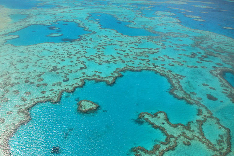 تماشای صخره های مرجانی استرالیا با هلی کوپتر 