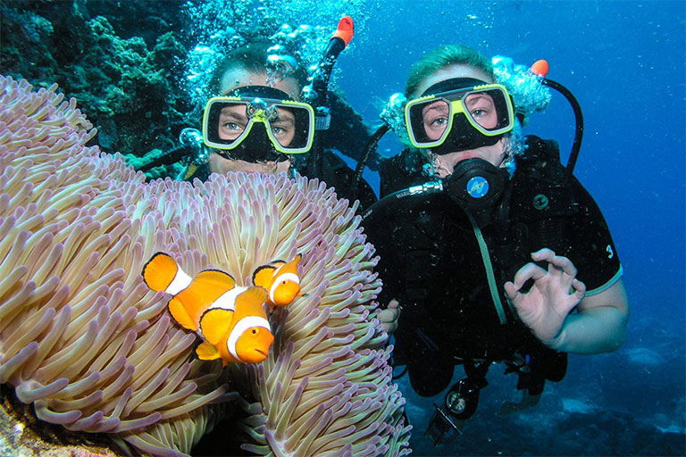 Great Barrier Reef، استرالیا
