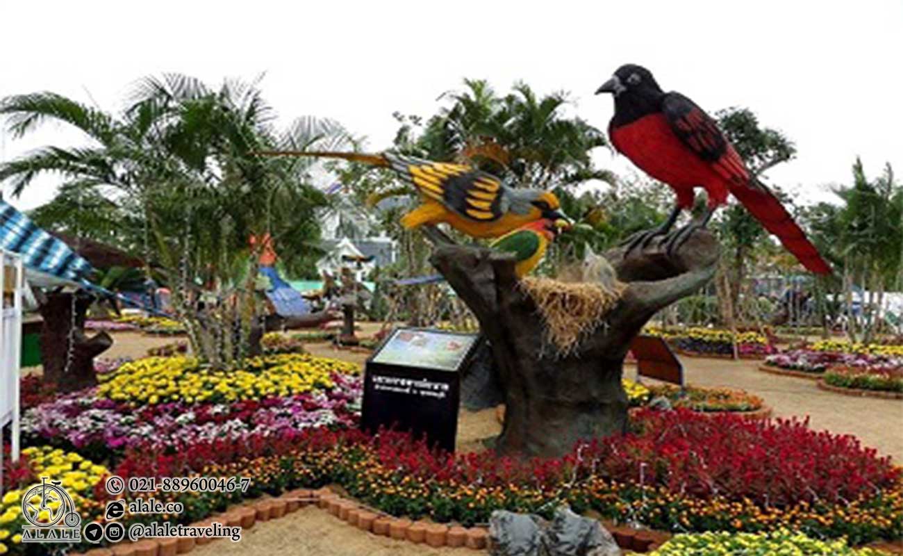 جشنواره پرنده در تایلند