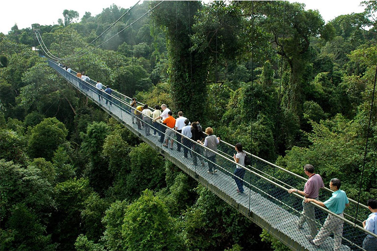Bukit Timah Nature Reserve، سنگاپور