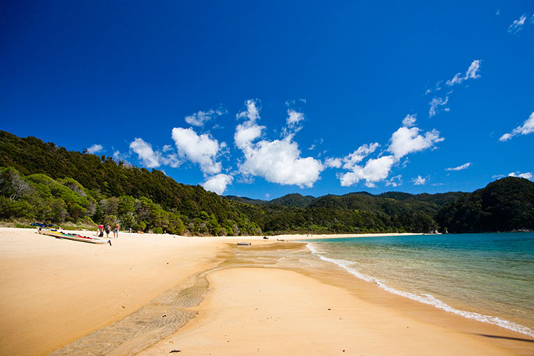 ساحل در نیوزیلند