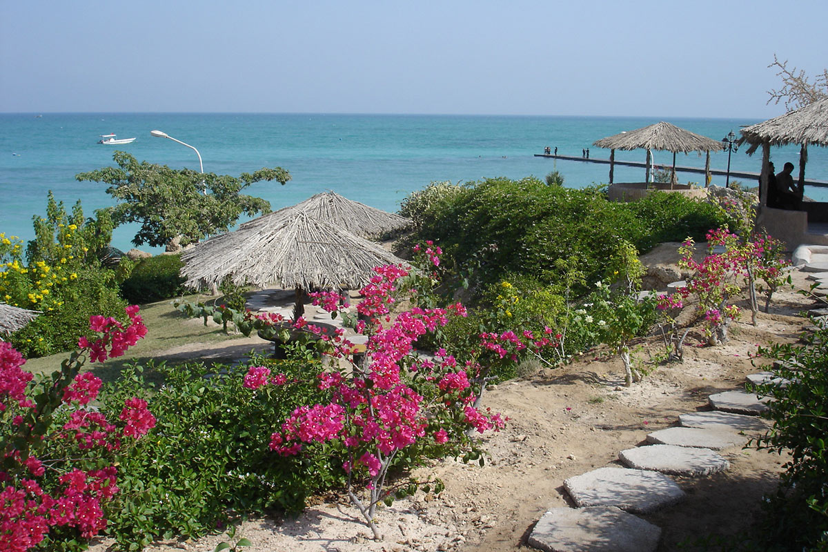 ساحل مرجان در کیش